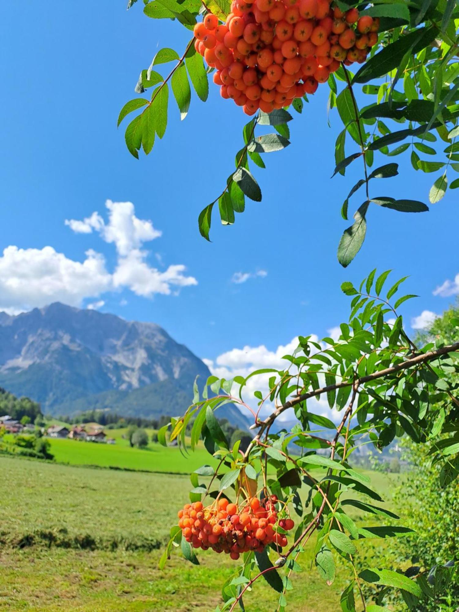 Urlaub Im Stall Irdning Luaran gambar